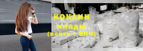 тгк Пересвет