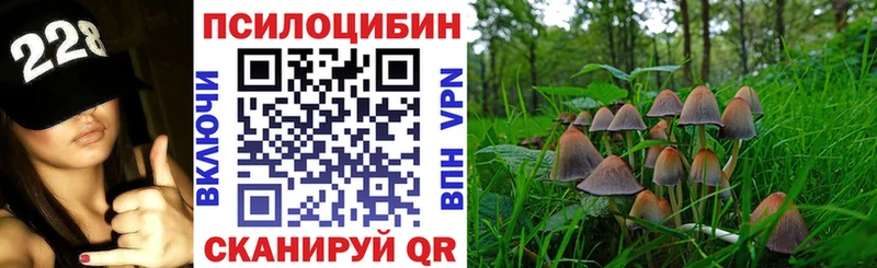 где купить   Сычёвка  Галлюциногенные грибы мухоморы 